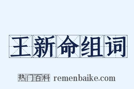 王新命组词是什么意思的图片